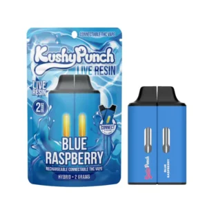 Kushy Punch Blue Raspberry 2g