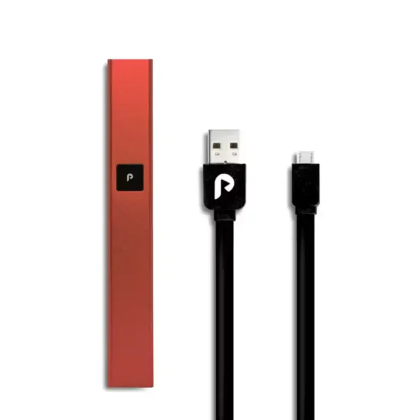 Plugplay Battery – Bild 2