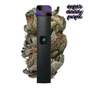 PlugPlay Disposable Vape Deutschland