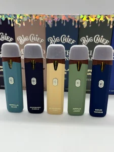 Big Chief Disposable Vape Deutschland